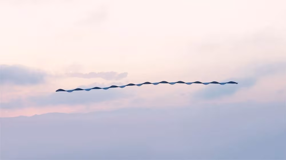 Estela fina y ondulada de un ave que cruza un cielo rosado, fotografía de Xavi Bou