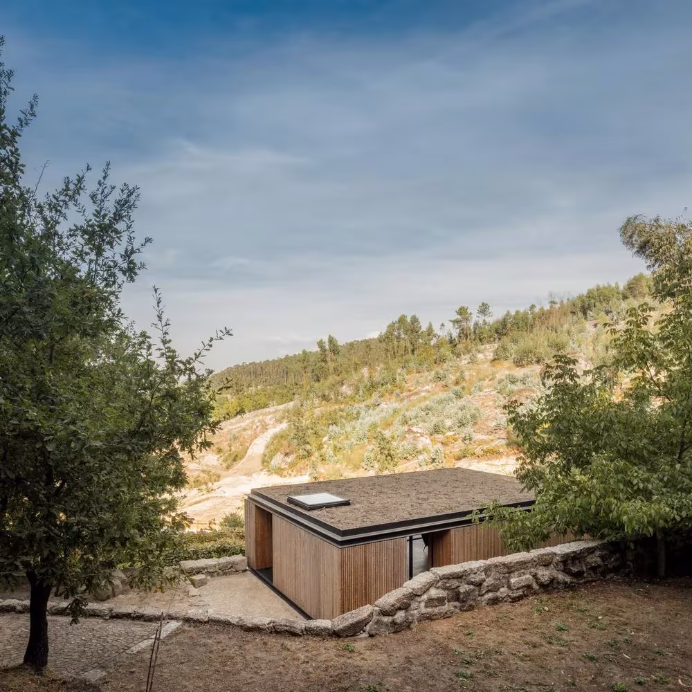 Cubierta de la casa-pabellón de Guimarães semienterrada en la ladera, con revestimiento de madera y olivos