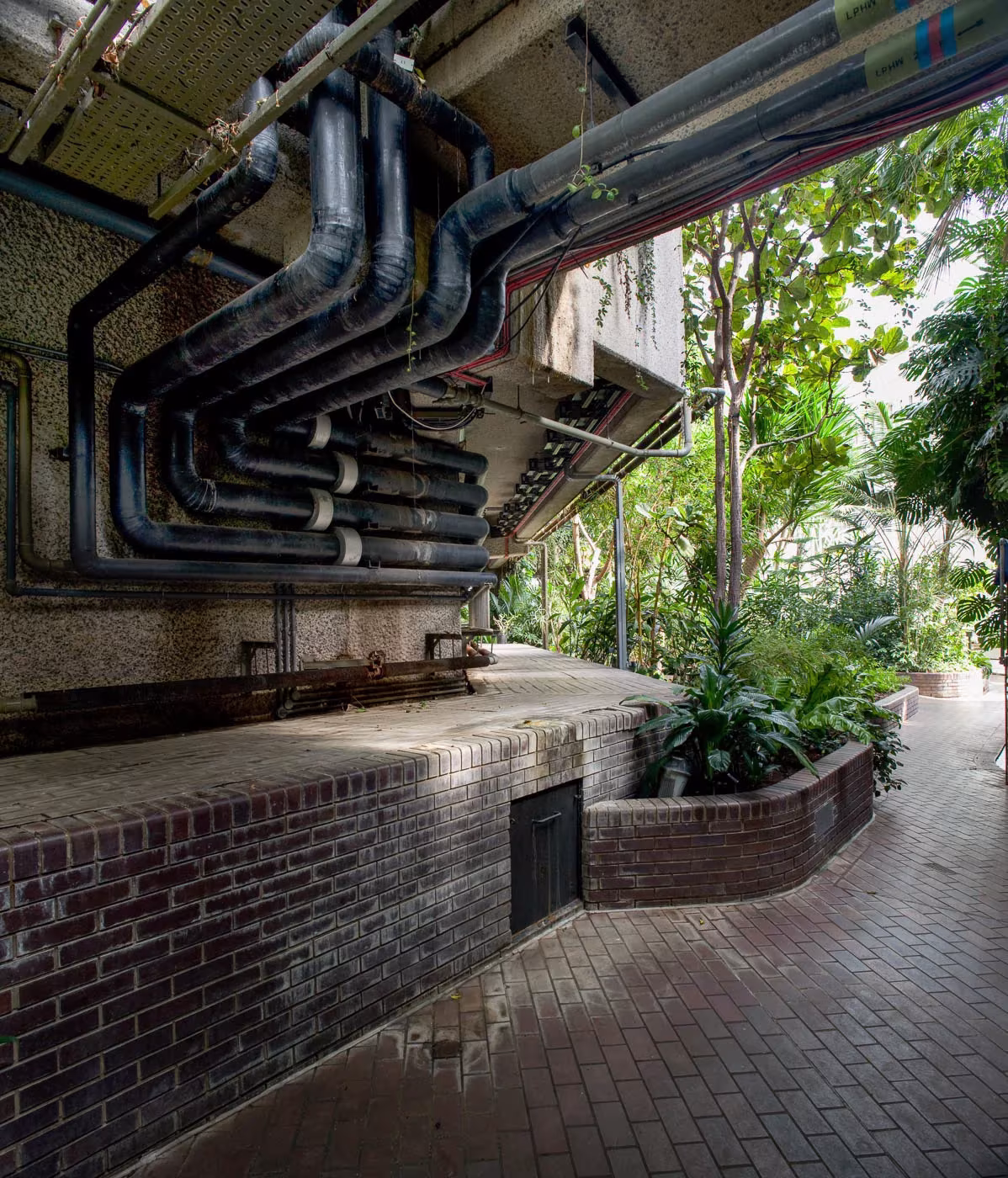 Tuberías de climatización sobre el murete de ladrillo y el camino entre plantas del Barbican Conservatory