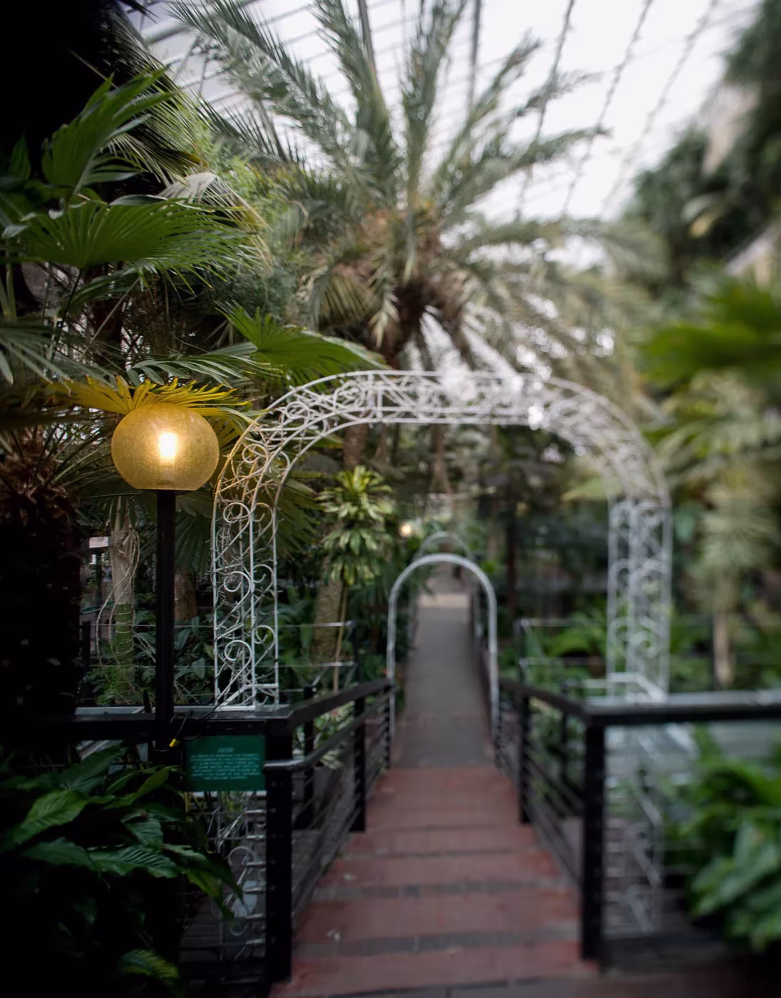 Pasarela de ladrillo con arco metálico blanco entre palmeras en el Barbican Conservatory de Londres