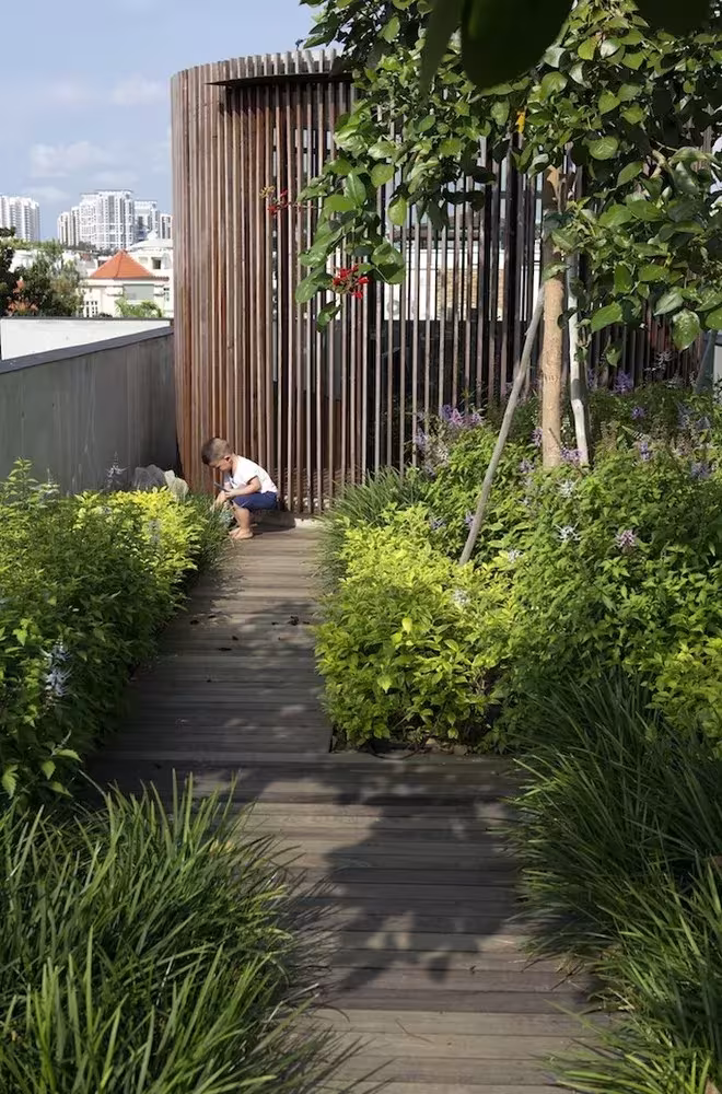 Sendero de madera entre arbustos hasta un volumen de lamas verticales en la cubierta de la Courtyard House