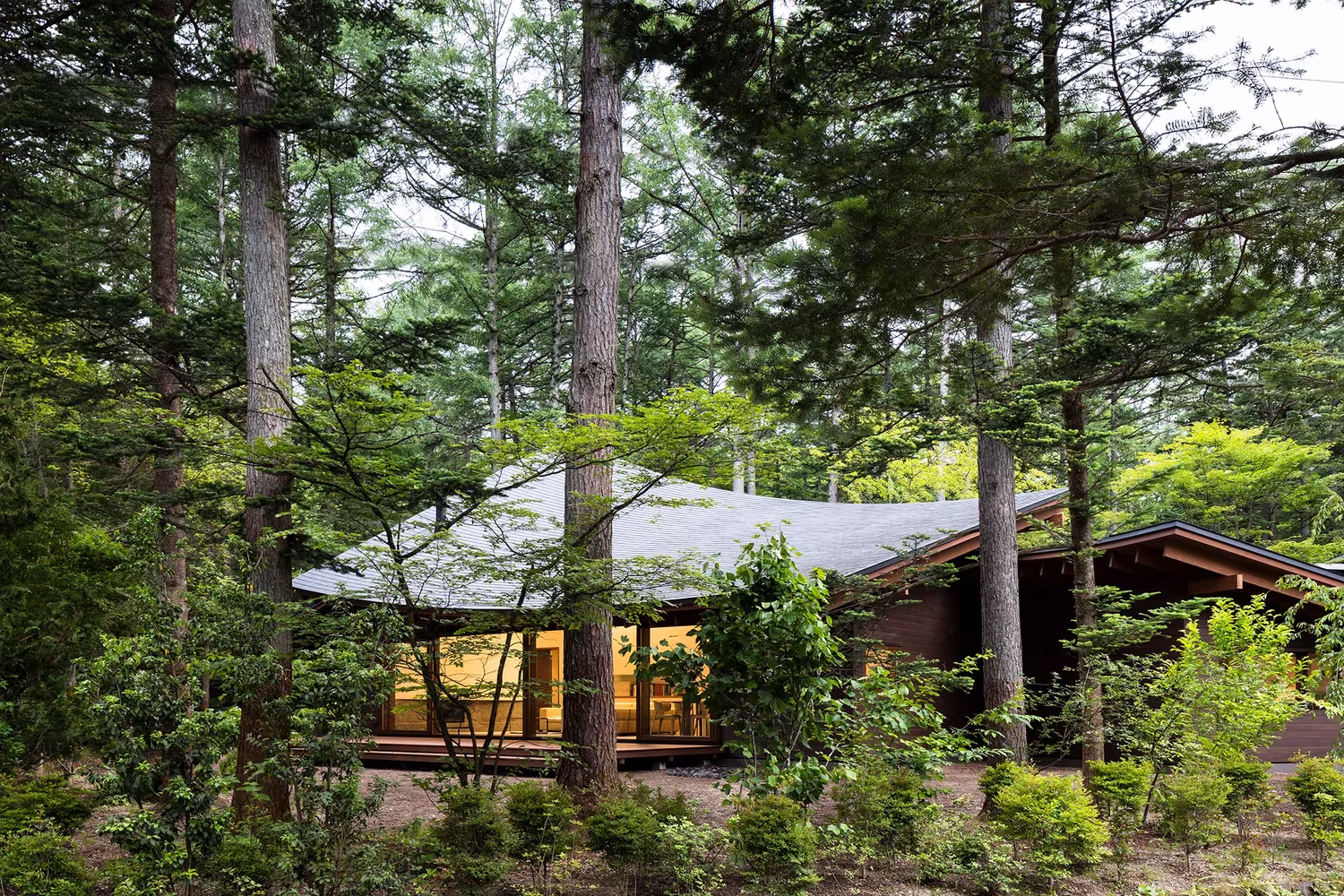 Casa de fin de semana de KIAS en Karuizawa con la cubierta curva entre el arbolado y la sala iluminada