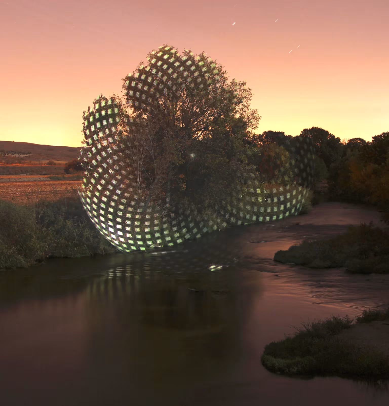 espirales de luz en la naturaleza fotografía de javier riera