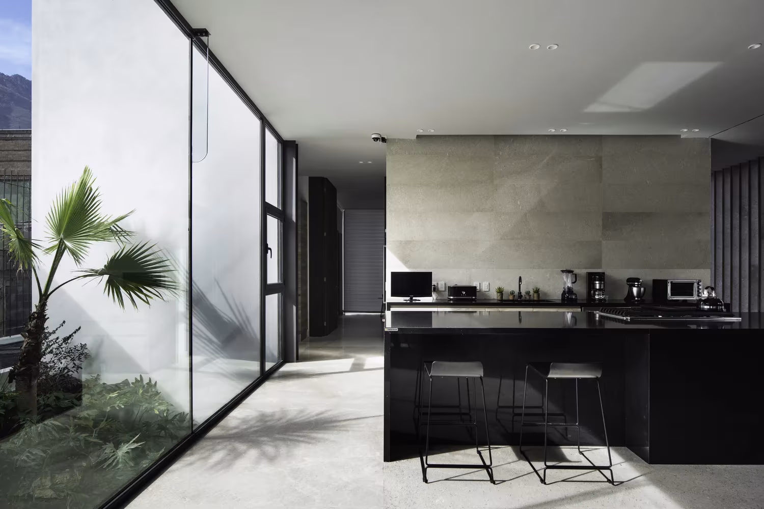 Cocina de isla negra y encimera de piedra tras un cerramiento de vidrio con palmera en Genius Loci, Monterrey