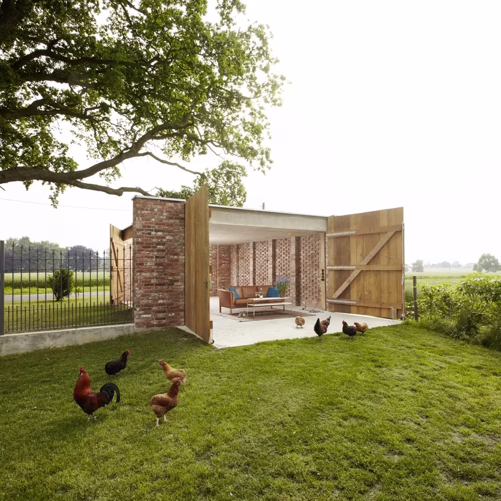 Remisenpavillon desde fuera gallinas