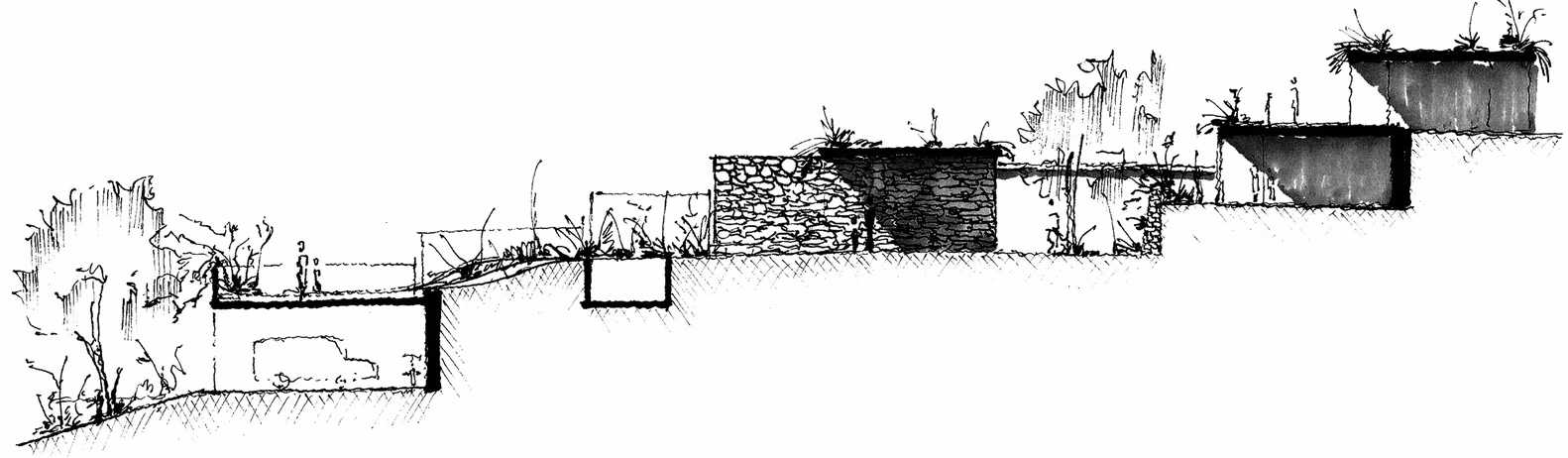 Croquis de sección de la Casa Tucán con volúmenes escalonados sobre la ladera y vegetación dibujada