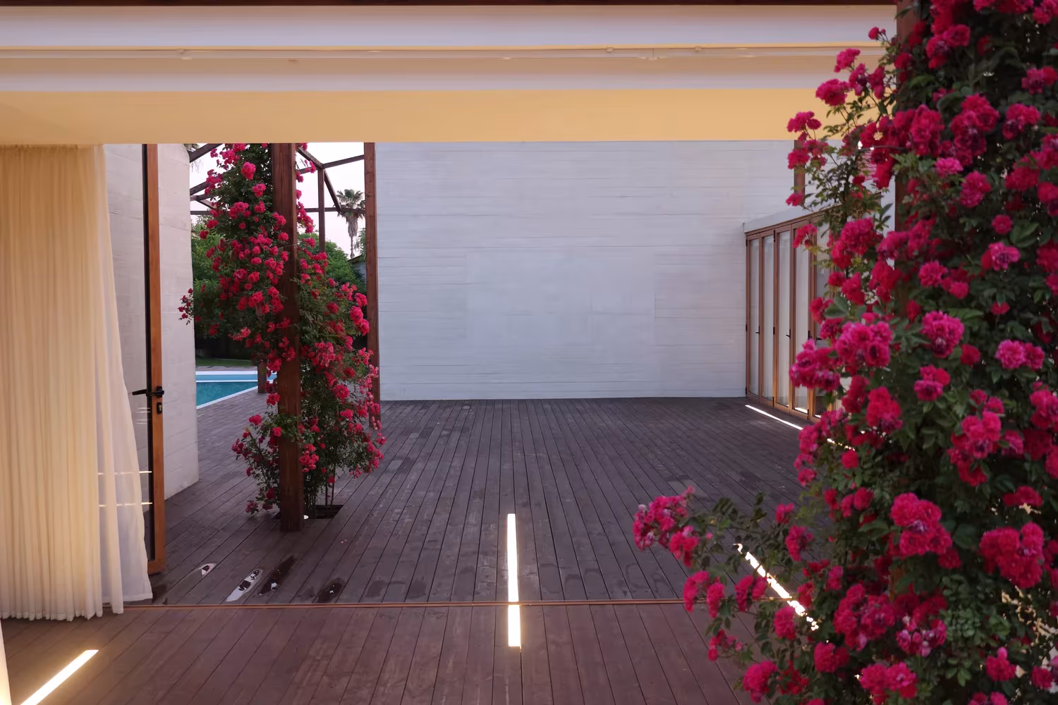 Terraza de tarima de Villa Vanoosh con rosales trepadores rojos, luz lineal en el suelo y cortinas