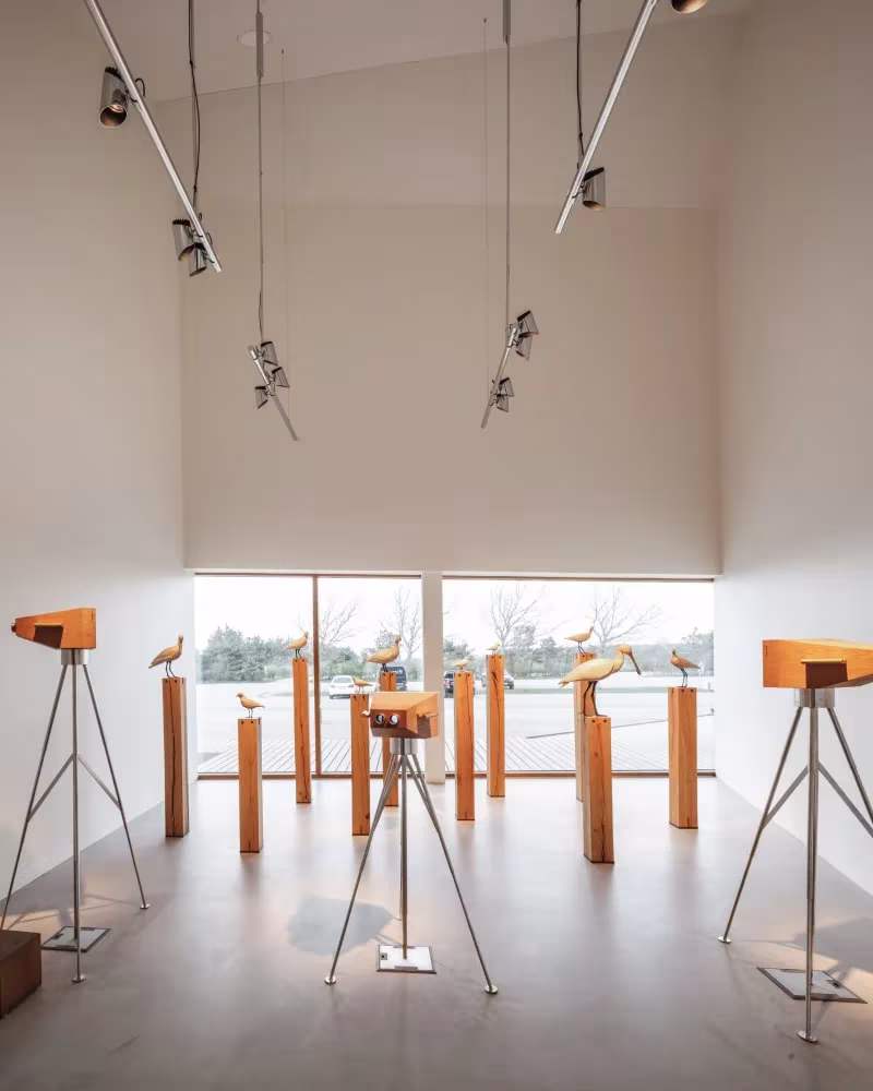 Sala del centro del Mar de Wadden con aves expuestas en soportes de madera ante un ventanal sobre el paisaje