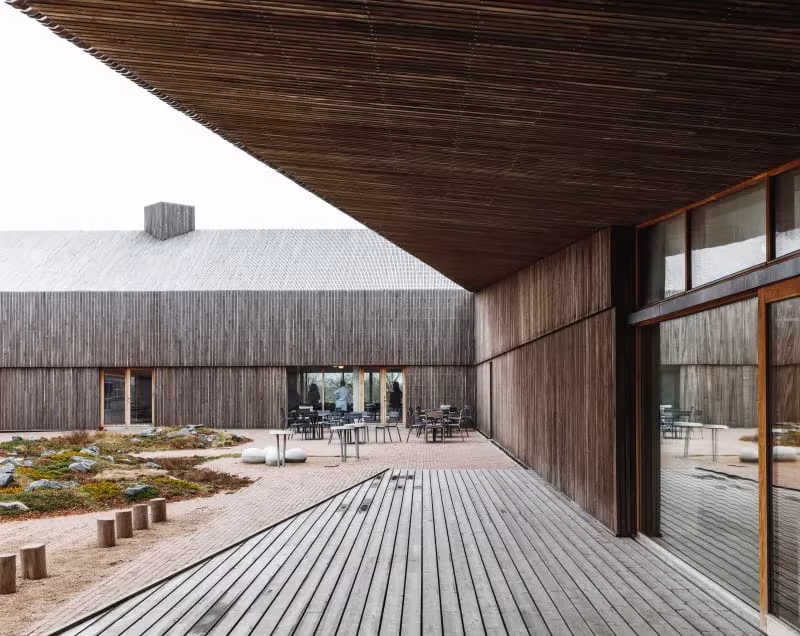 Tarima de madera bajo el alero del edificio de Dorte Mandrup frente al patio con vegetación de duna