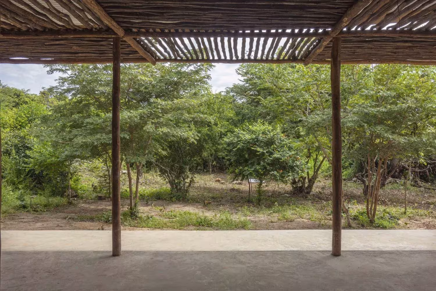 Aula abierta del Eco Moyo Education Center bajo la cubierta de listones, con vistas al bosque de acacias