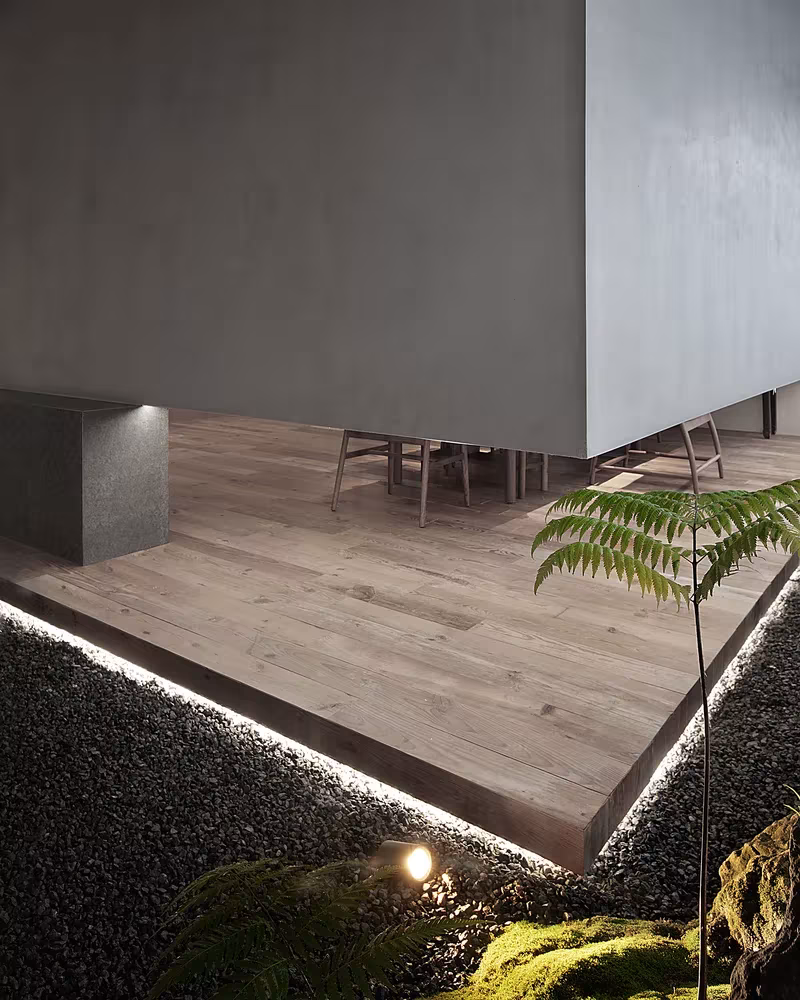 Esquina de un volumen de hormigón sobre tarima con helecho y luz rasante en el borde, Estudio Resee
