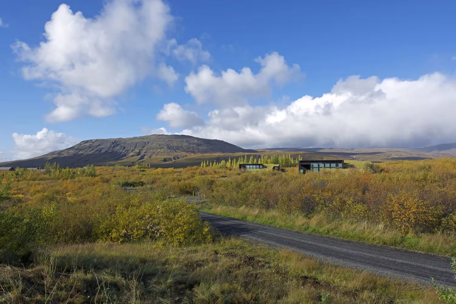 Camino y paisaje de Brekkuskógur con la montaña y varias cabañas dispersas al fondo, Islandia