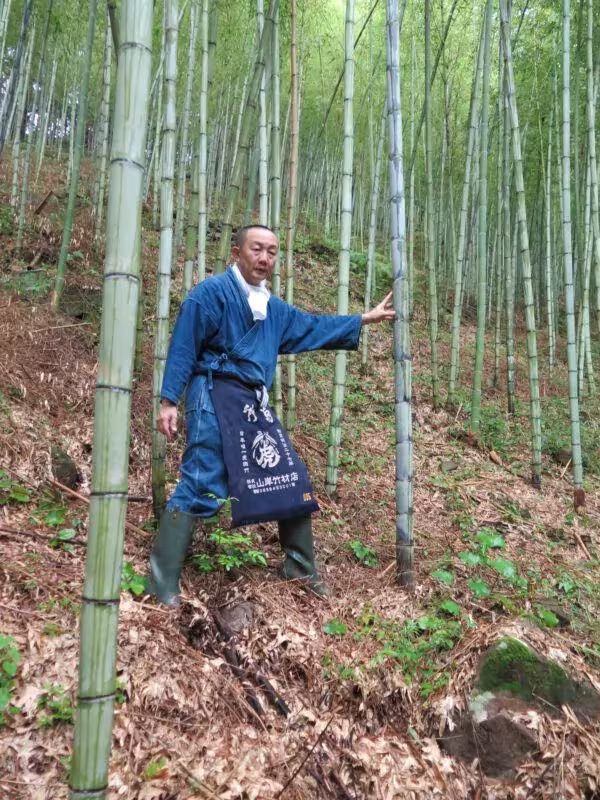 Artesano con delantal azul entre cañas de bambú en un bosque de Japón