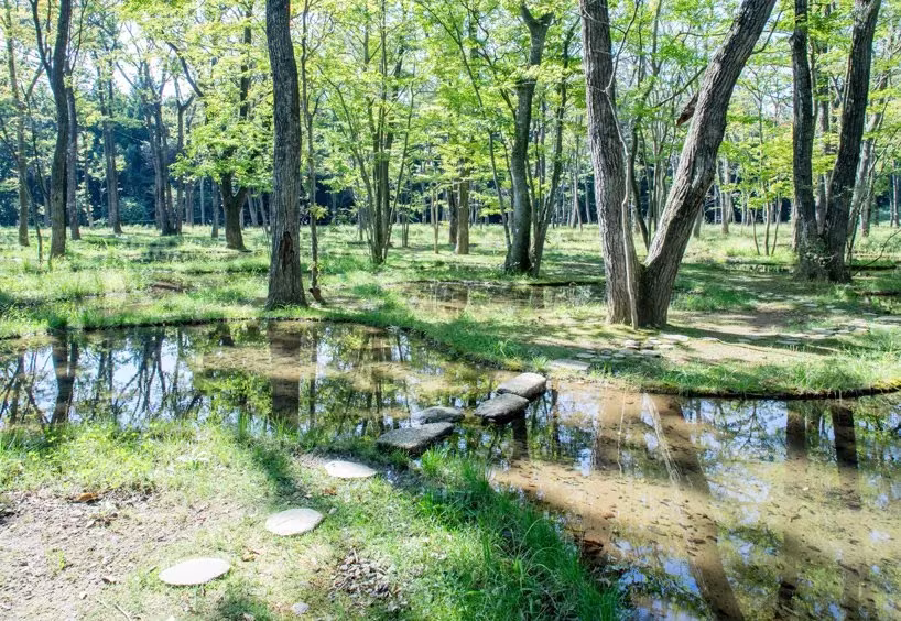Jardín acuático de Junya Ishigami con pasaderas de piedra entre charcas y troncos reflejados