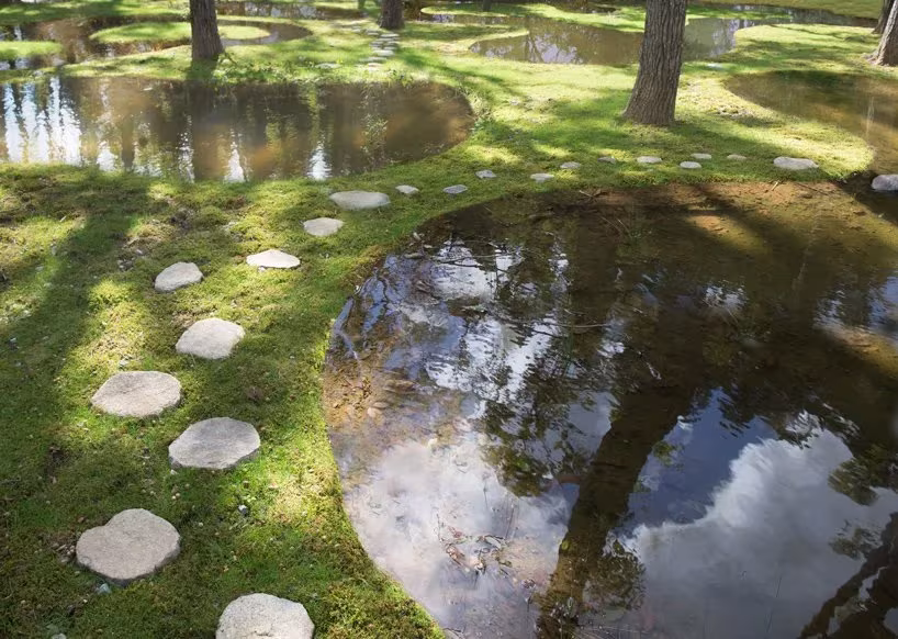 Pasaderas de piedra sobre musgo junto a un estanque que refleja el cielo en el Art Biotop