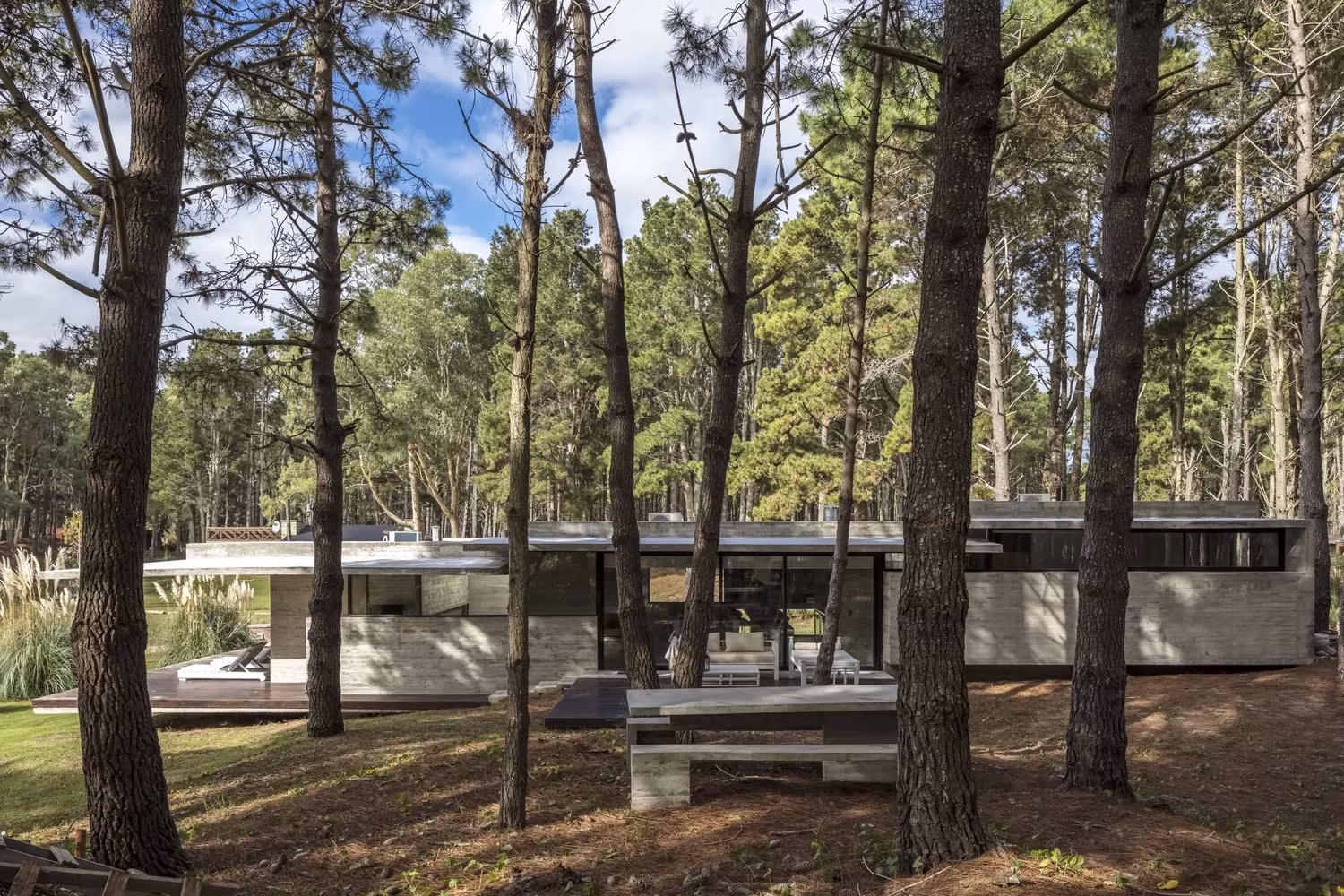 Casa Bosque de Besonías Almeida, volumen bajo de hormigón entre los troncos de un pinar
