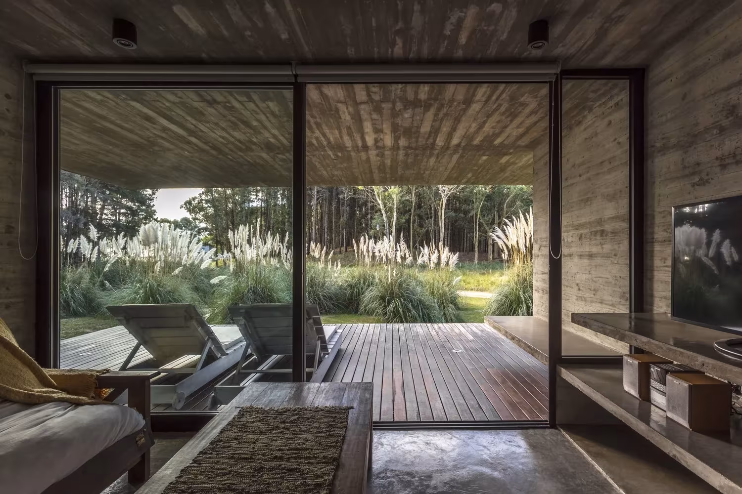Salón de la Casa Bosque abierto a una terraza de madera con tumbonas y plumeros de la pampa