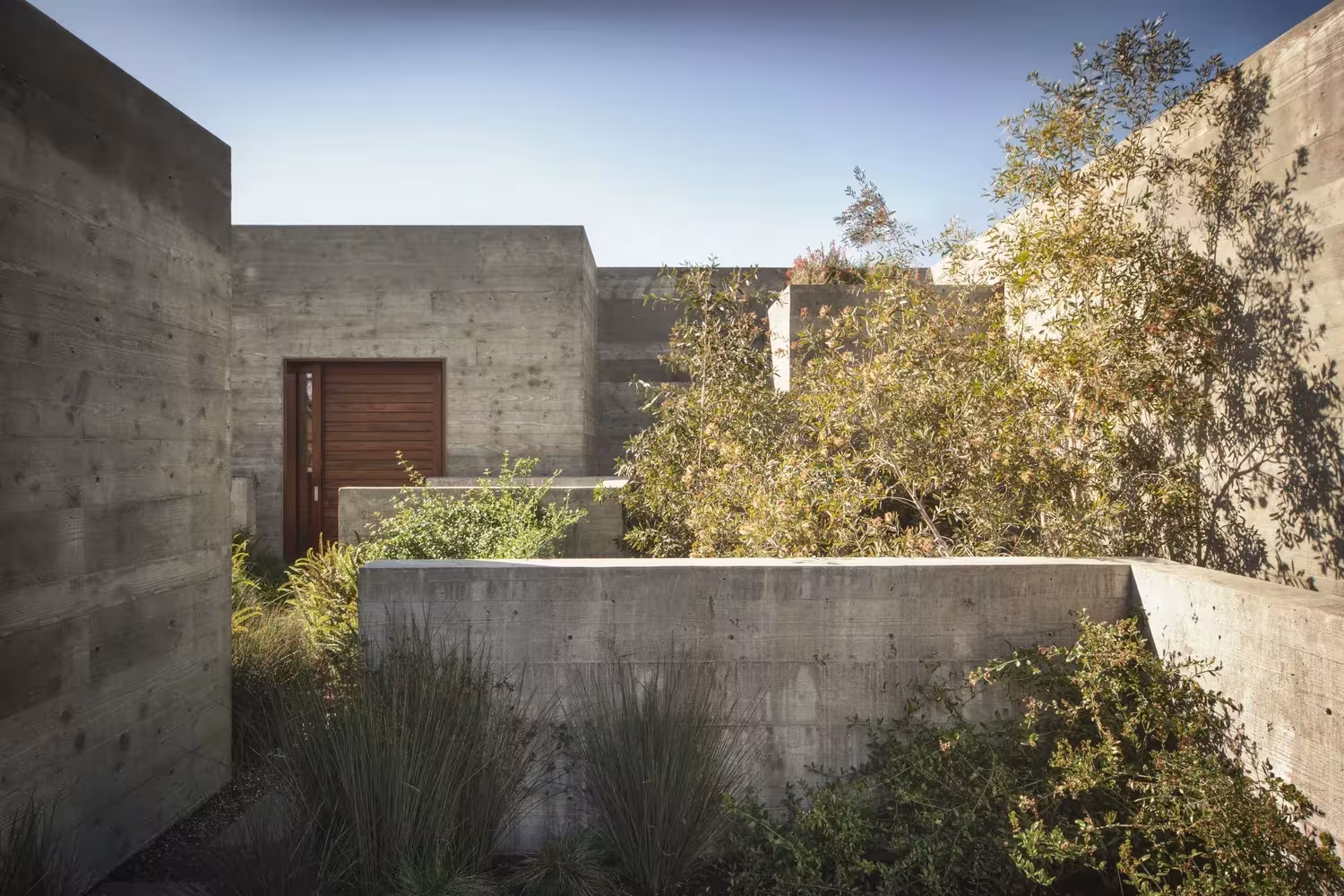 Muros de hormigón visto y puerta de madera entre vegetación en la Casa Phoenix, Encinitas