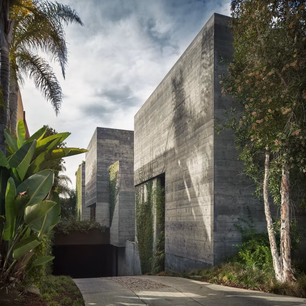 Volúmenes de hormigón visto entre palmeras y abedules junto al acceso de la Casa Phoenix, en Encinitas