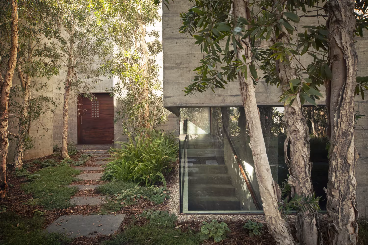 Entrada a la Casa Phoenix entre troncos y losas del jardín, con escalera acristalada junto al muro