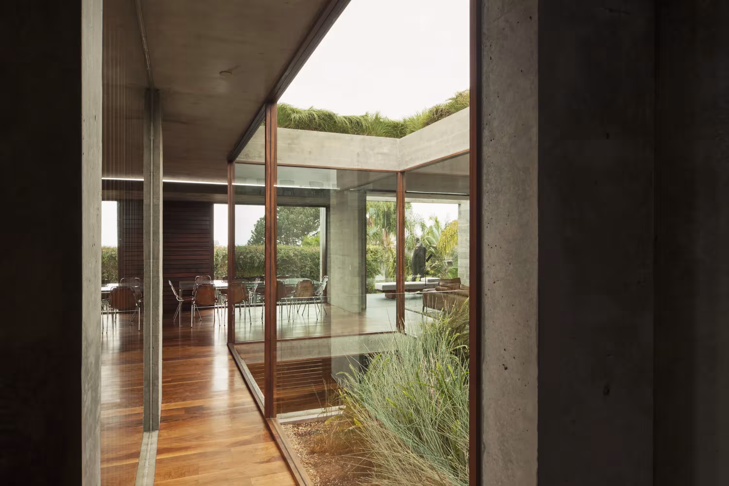 Galería de madera y vidrio con gramíneas junto a un pilar de hormigón en la Casa Phoenix