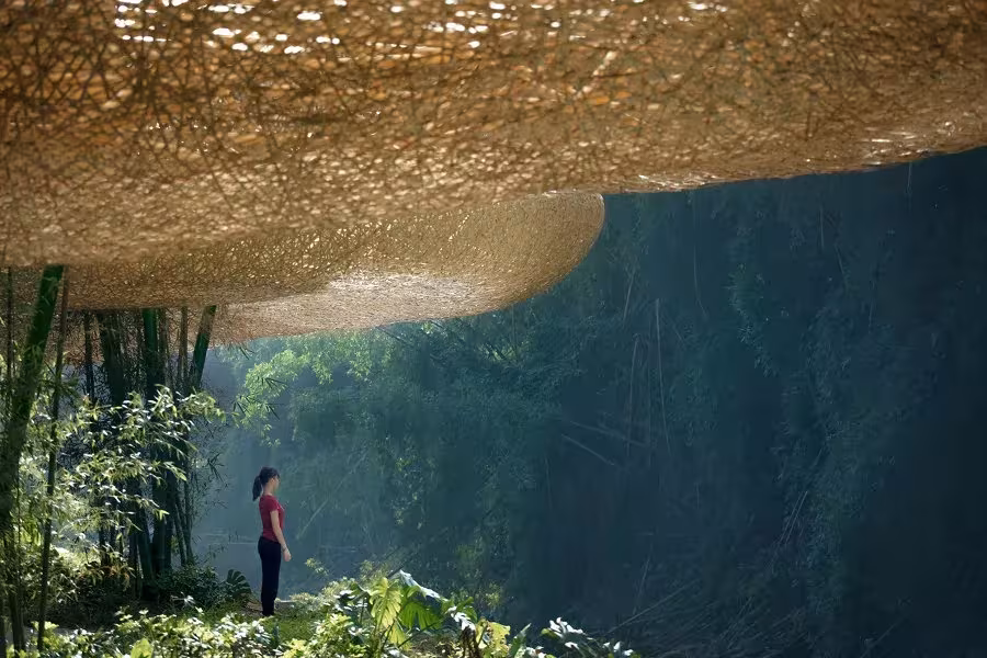 Visitante de pie bajo la cubierta de bambú de LLLab., ante un cañón arbolado en Yangshuo, China