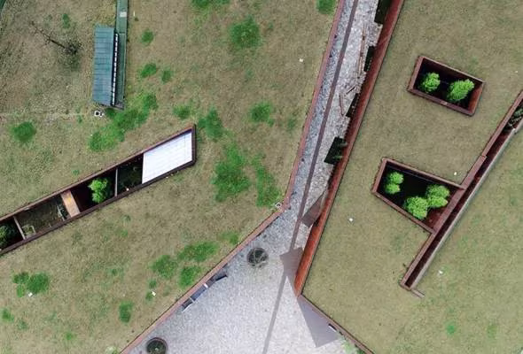 Detalle cenital de la cubierta verde del Museo de Wenchuan con patios hundidos y árboles plantados