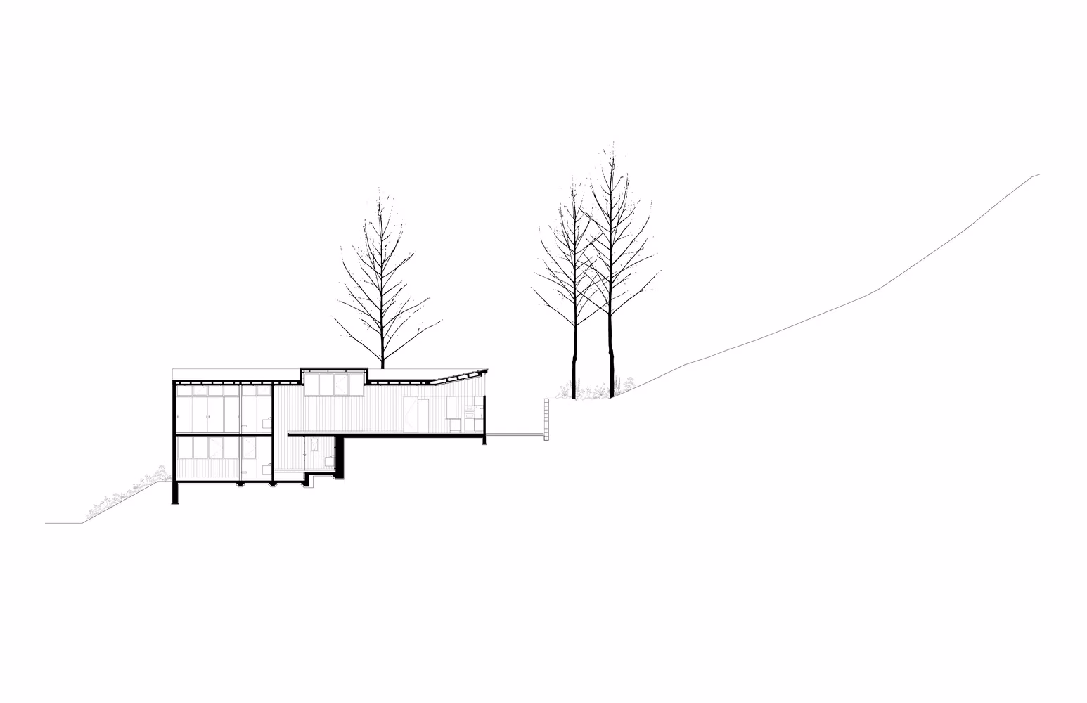 Sección transversal de la Casa L de Dellekamp Arquitectos con sus volúmenes bajos sobre el terreno en pendiente