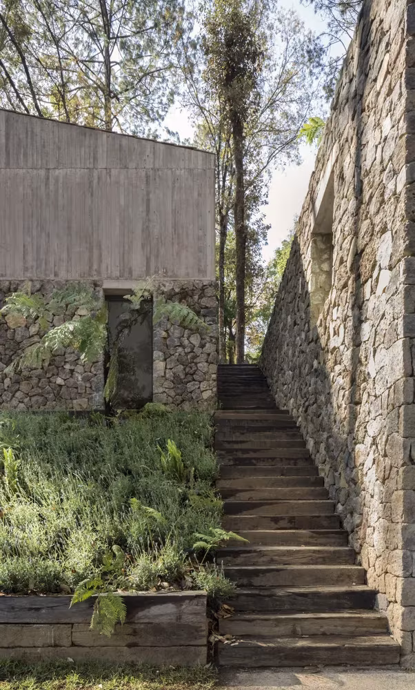 Escalera de traviesas entre helechos y un muro de piedra que enmarca la Casa L