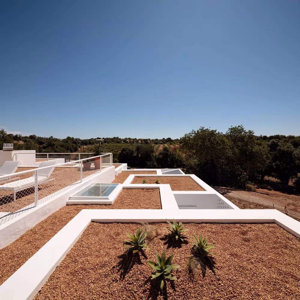 Cubierta de la Casa UM con patios de grava y lucernarios recortados entre antepechos blancos sobre el olivar