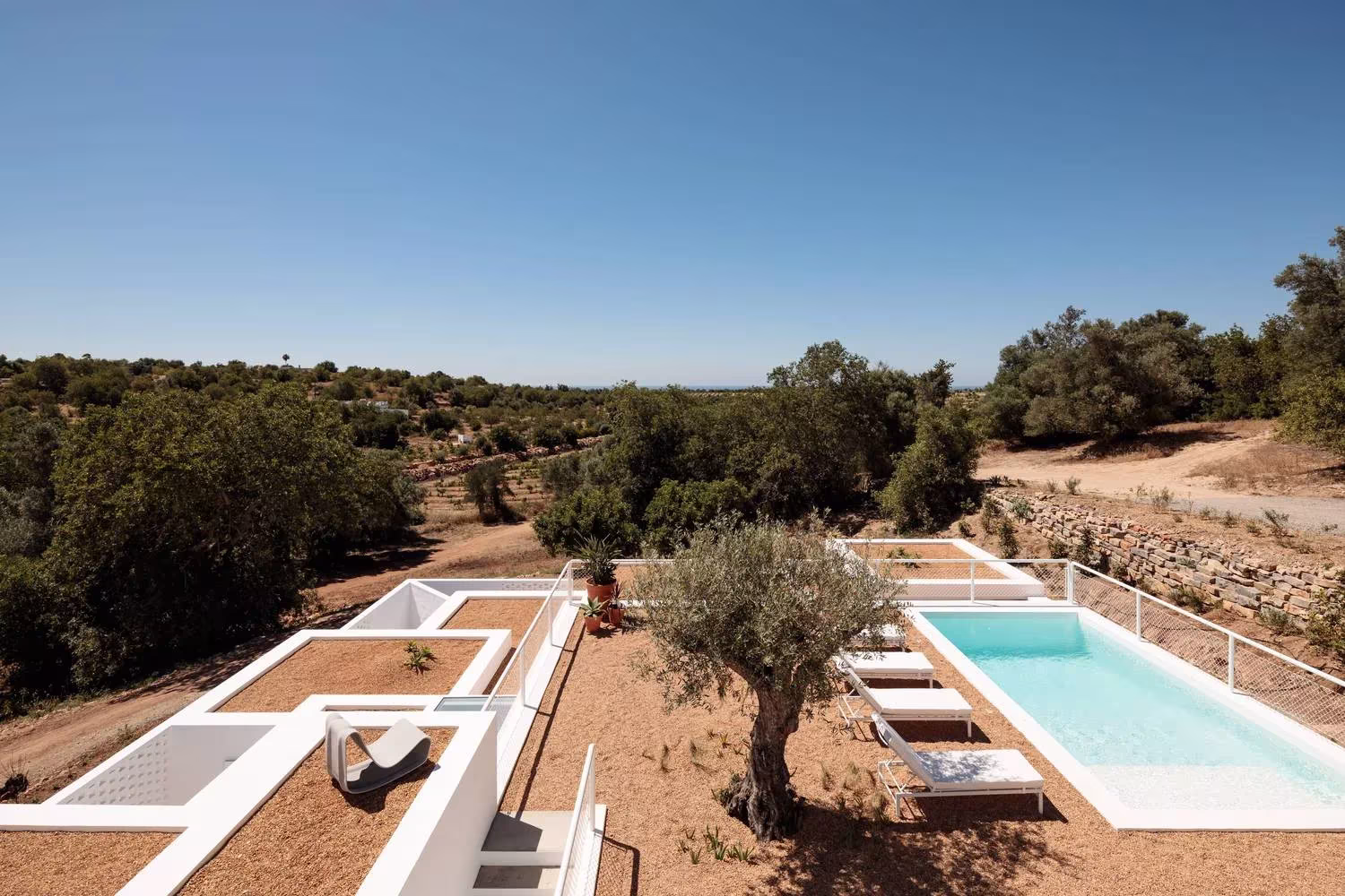Vista aérea de la Casa UM con la piscina alargada, un olivo y las cubiertas cubiertas de grava