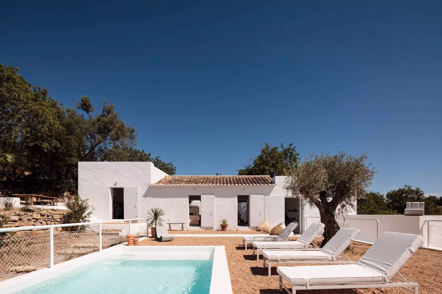 Piscina y tumbonas ante la casa encalada y un olivo bajo un cielo azul intenso en la Casa UM