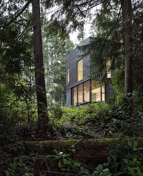 Little House entre el denso bosque de Seabeck con sus ventanas iluminadas al atardecer