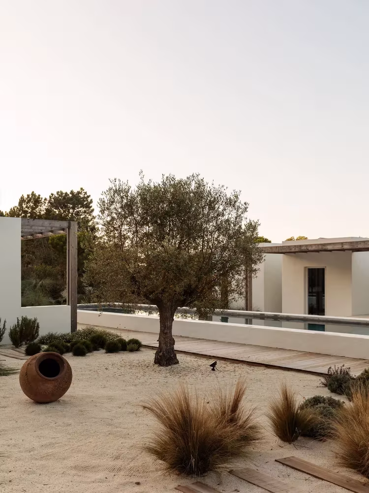 Jardín de arena de Comporta 10 con olivo, gramíneas y una tinaja de barro junto a las casas blancas