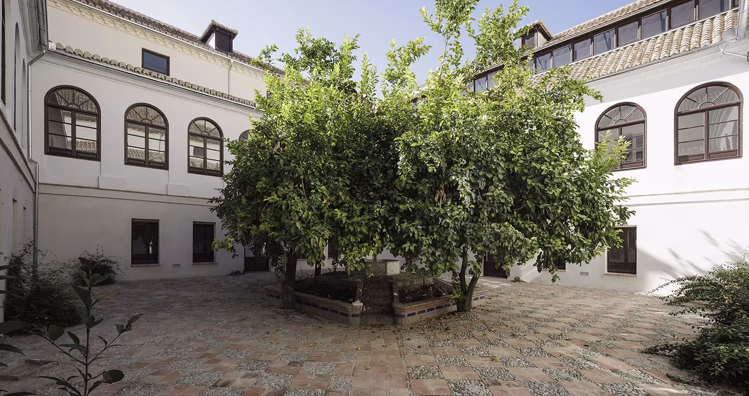 Patio del Colegio San Fernando con un gran naranjo, empedrado y fachadas blancas con ventanas en arco