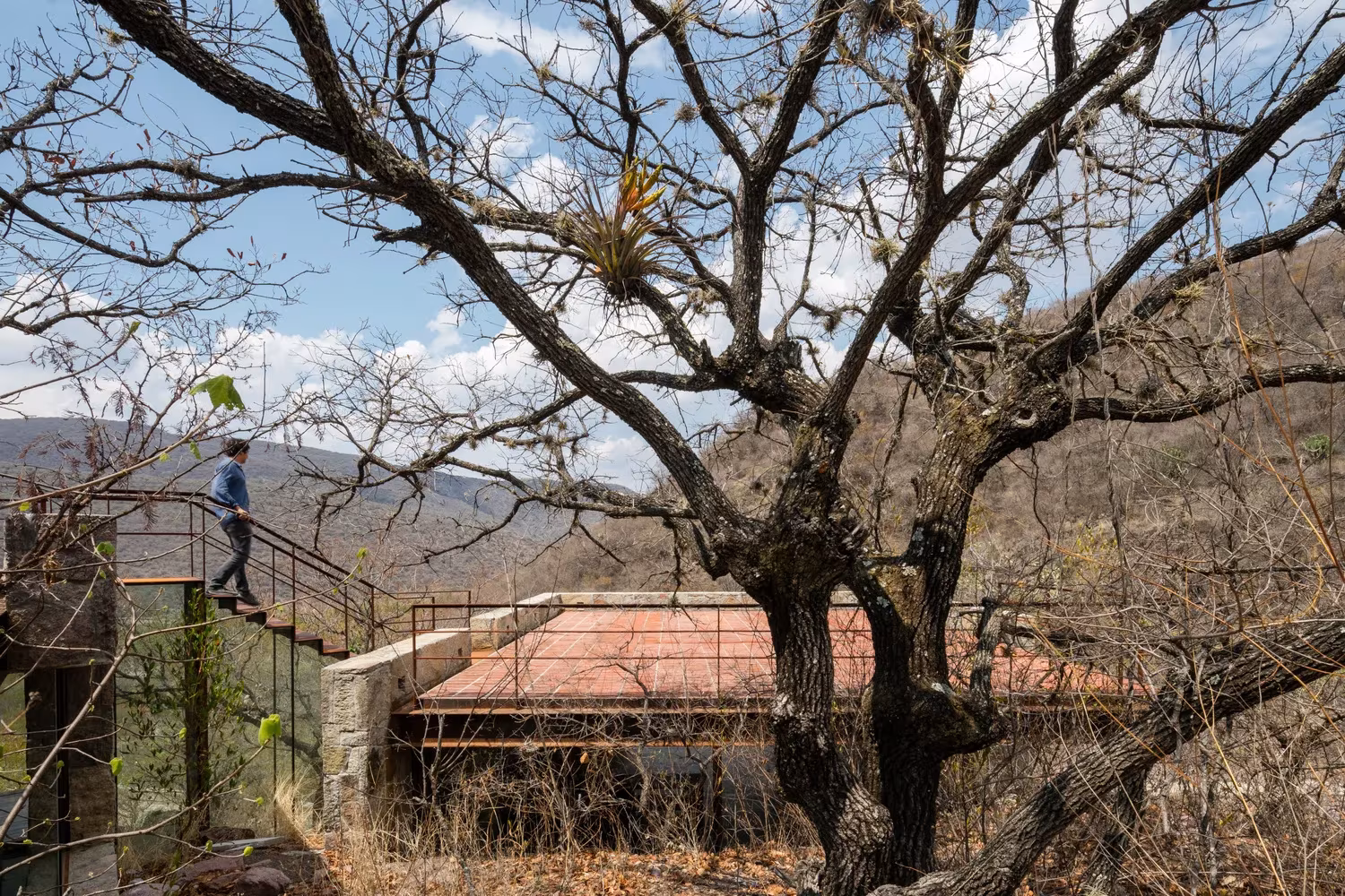 Cubierta de la Cabaña Teitipac con pavimento de barro y barandilla de acero, vista bajo un árbol sin hojas