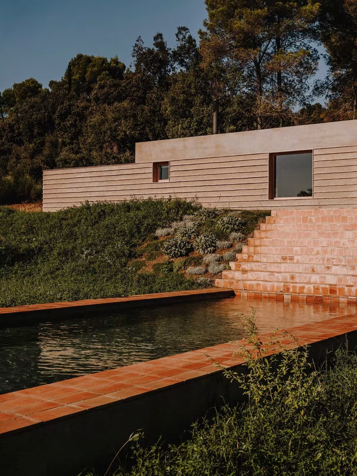 Casa Ter con gradas de cerámica que bajan a una alberca rodeada de vegetación al atardecer
