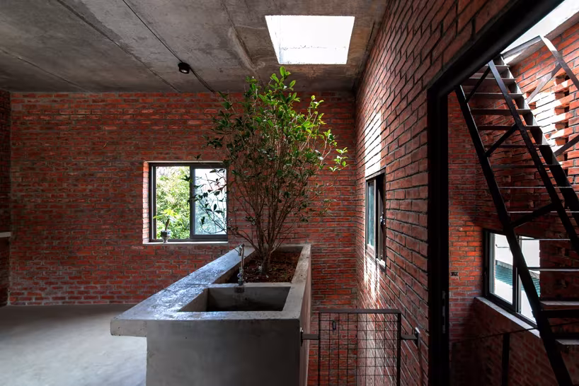 Jardinera de hormigón con un árbol bajo el lucernario junto a la escalera metálica de AgriNesture