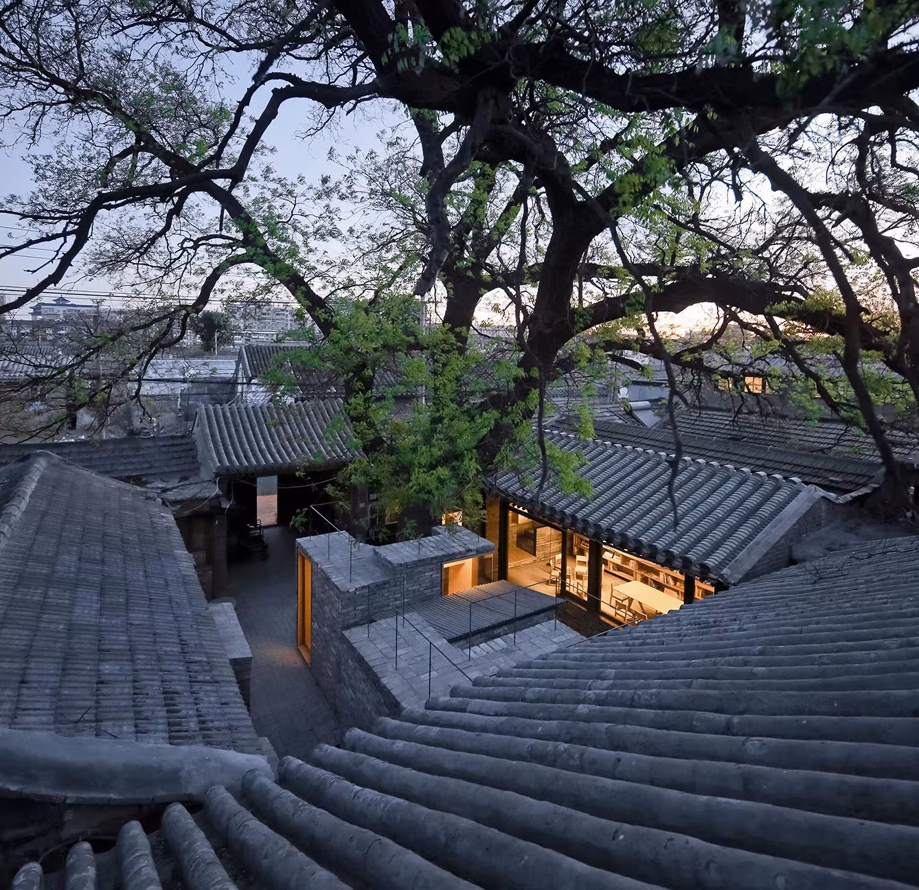 Vista elevada de las cubiertas de teja gris del hutong con el árbol y la minibiblioteca iluminada