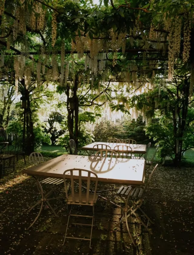 Mesa y sillas de hierro bajo una pérgola de glicinias en un jardín de Dan Pearson