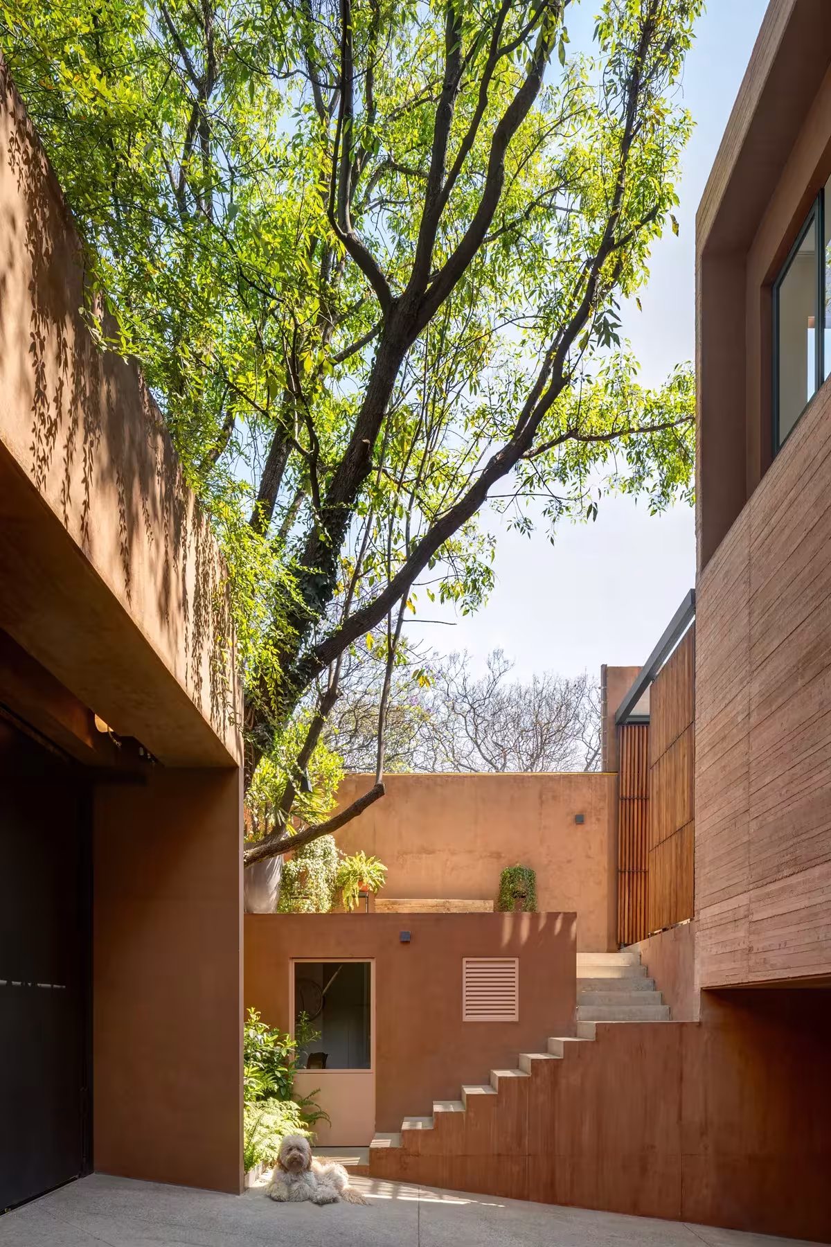 Casa Monte Tauro escalera exterior