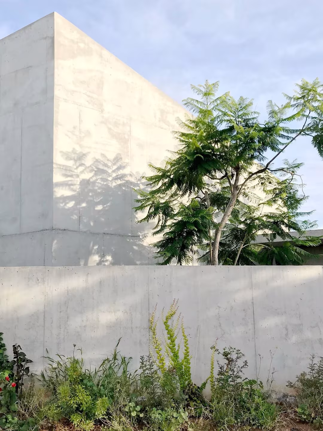 Fachada posterior Casa Toto