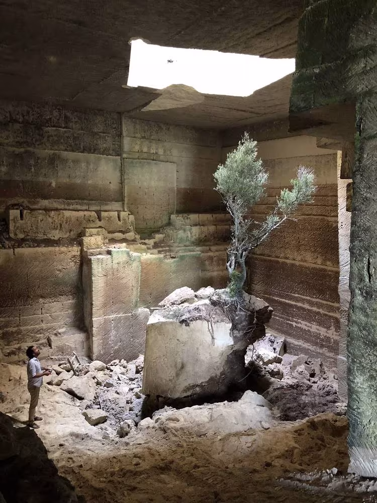 Olivo sobre un bloque de piedra bajo un lucernario en el interior excavado de Ca'n Terra, en Menorca