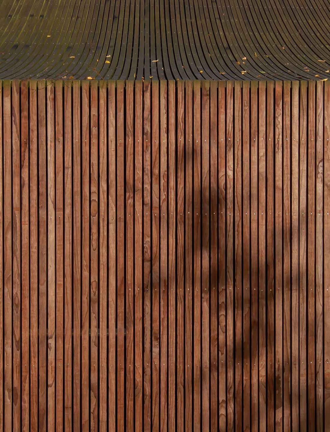 Detalle del revestimiento de listones de madera y del borde curvo de la cubierta de Shady Shed