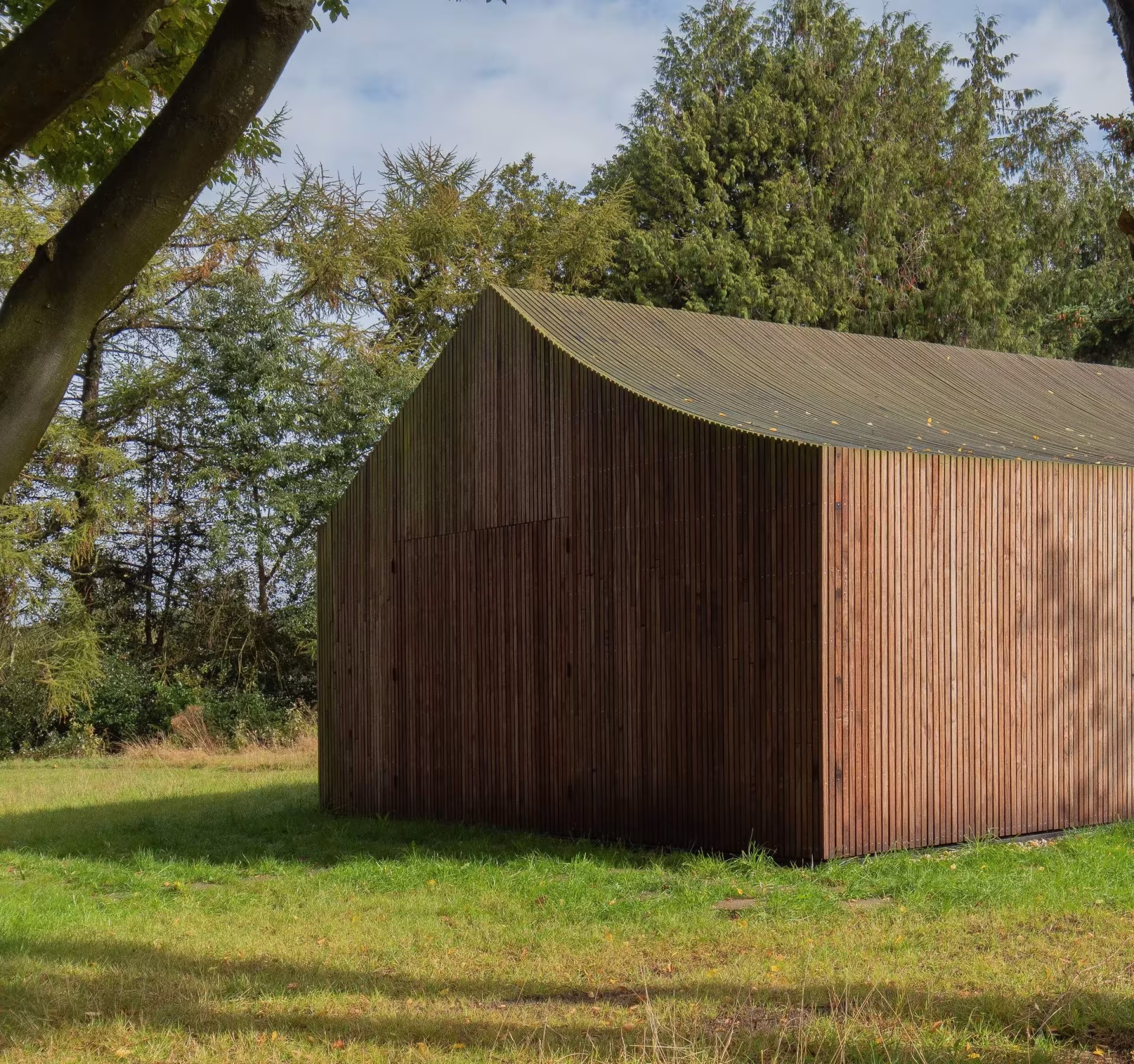 Cobertizo de madera de Shady Shed con tejado curvo entre los árboles del campo de Laren