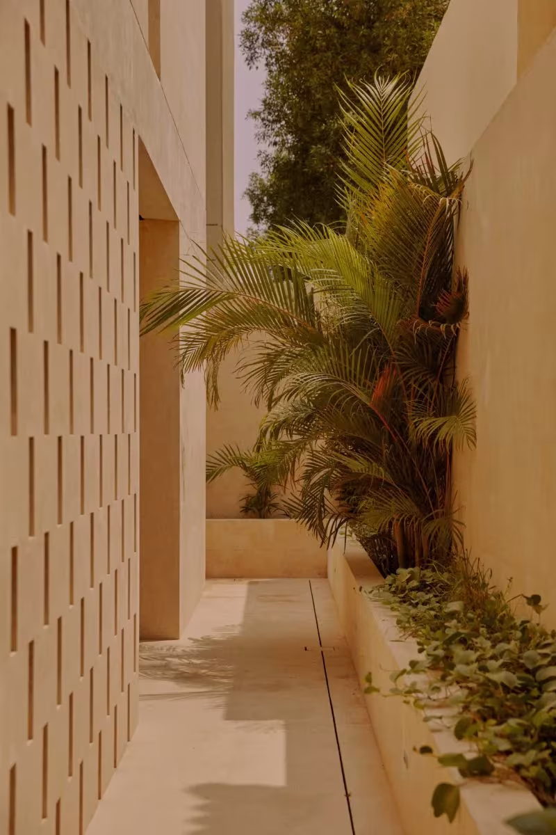 Pasillo exterior entre un muro de relieve geométrico y jardineras con palmeras en Villa AM de MESURA, Jeddah