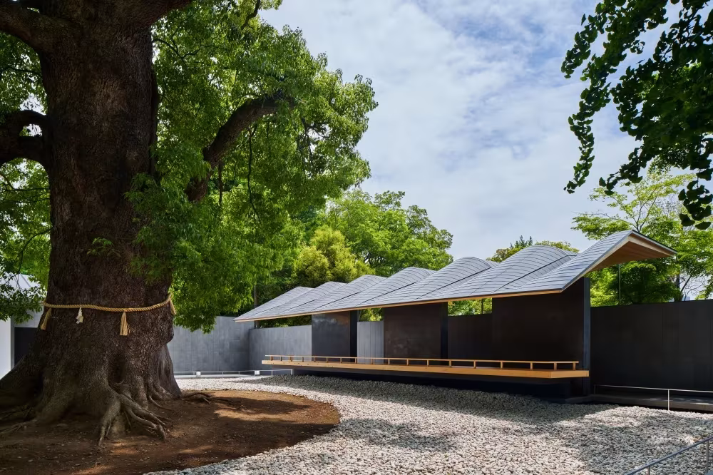 Pabellón de meditación de Hiroshi Nakamura en Ueno Toshogu, con cubierta en diente de sierra junto a un gran árbol