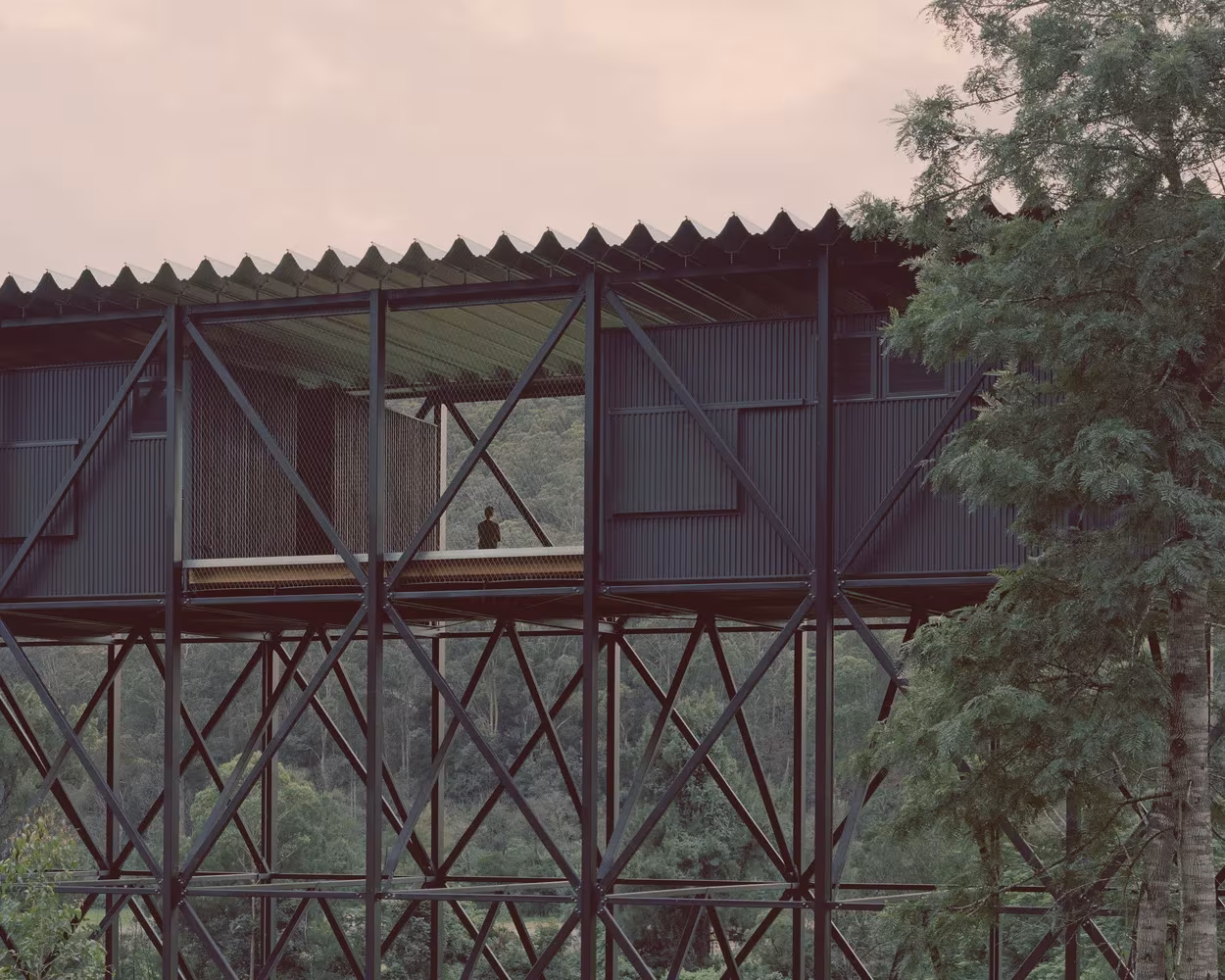 Pasarela elevada de acero y cubierta ondulada sobre una estructura triangulada en el Bundanon Art Museum & Bridge