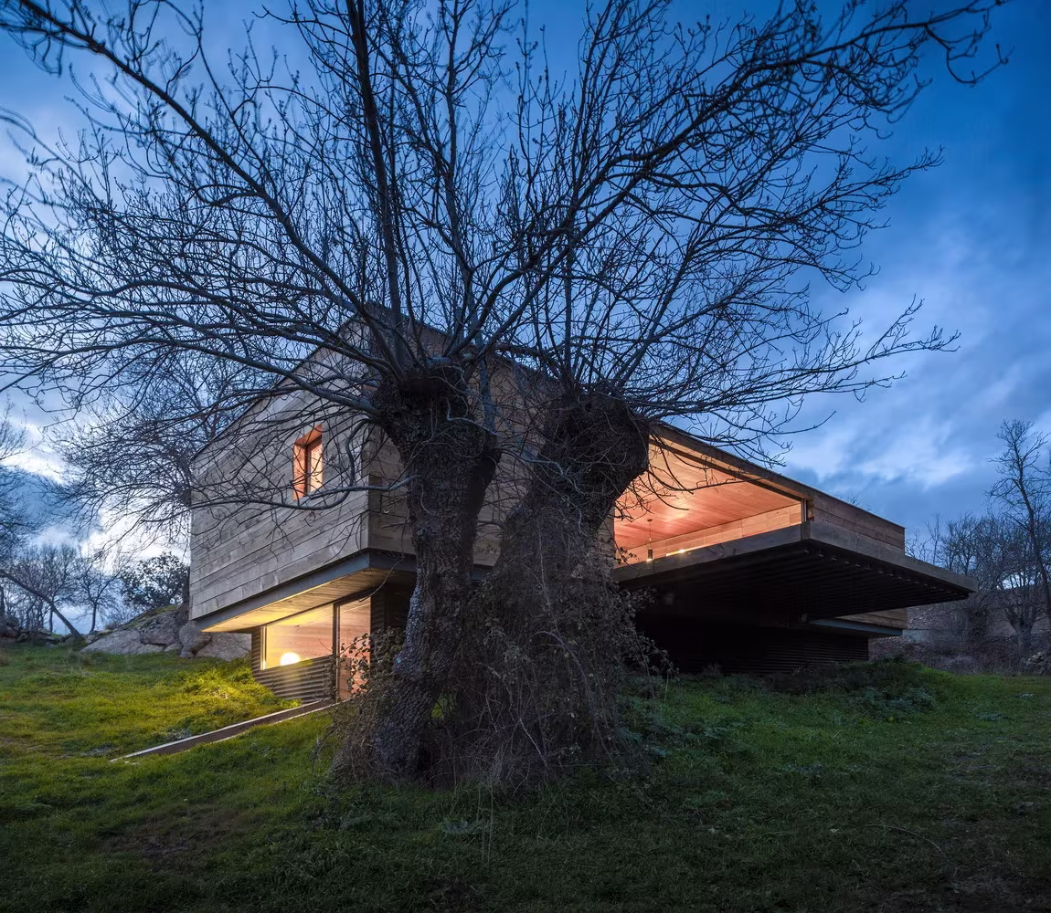 Casa B de CH + QS arquitectos, un volumen de hormigón y madera en voladizo bajo un viejo árbol en Berrocal, Segovia