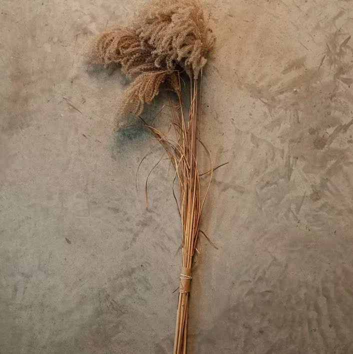 Manojo de hierba seca atado y apoyado sobre una pared de yeso, material de French Exit de Tadao Cern